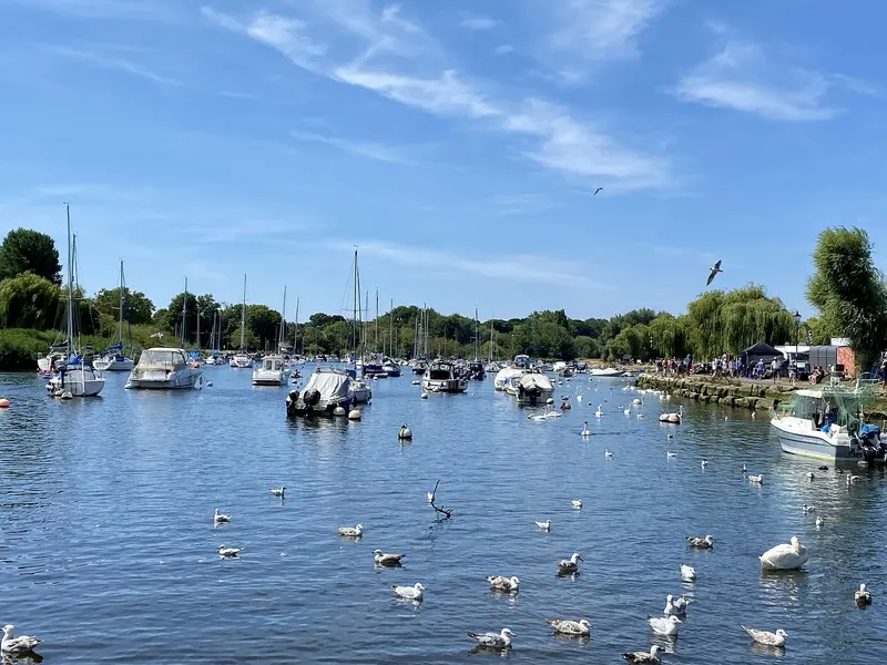 Boats and swans on the sparkling water of the River Stour beside Christchurch Quay under a blue sky