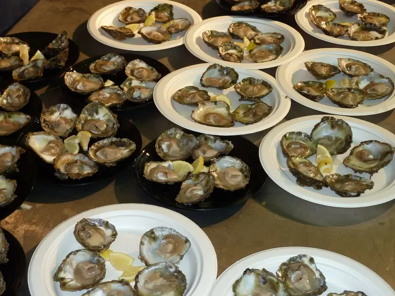 Paper plates of freshly opened oysters with lemon wedges laid out on a table