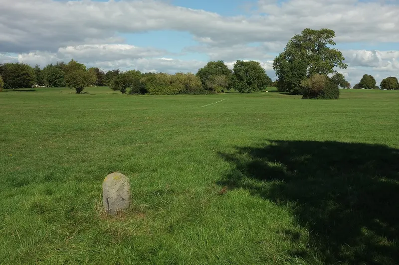 Open grassland on Durdham Down in Bristol, with a few trees under a cloudy sky