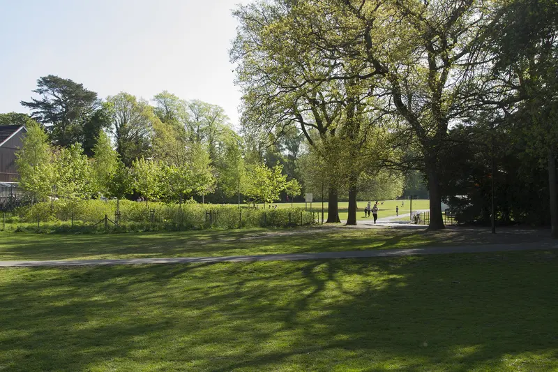 Sunlit lawns and mature trees in Rouken Glen Park