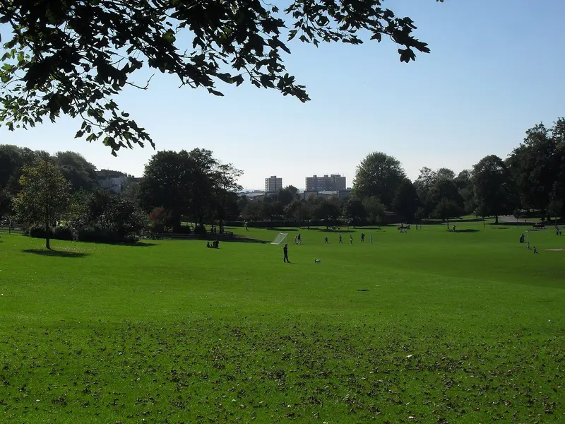 A broad sunny lawn in Hove Park framed by trees under a blue sky