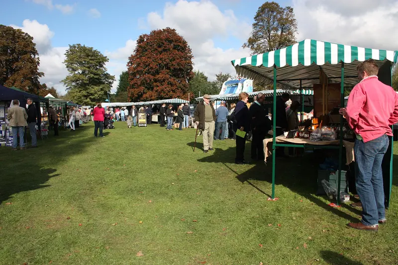 Visitors strolling between rows of stalls with striped canopies on a sunny grassy recreation ground ringed by autumn trees