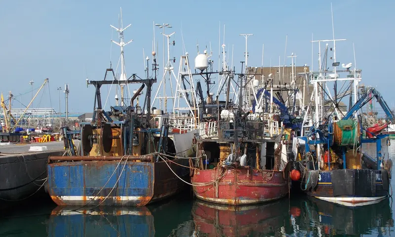 Fishing trawlers moored side by side in Portavogie harbour on a sunny day