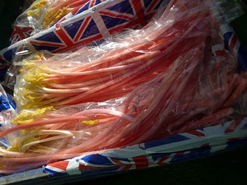 Bundles of bright pink forced rhubarb stalks wrapped in Union Jack-printed cellophane